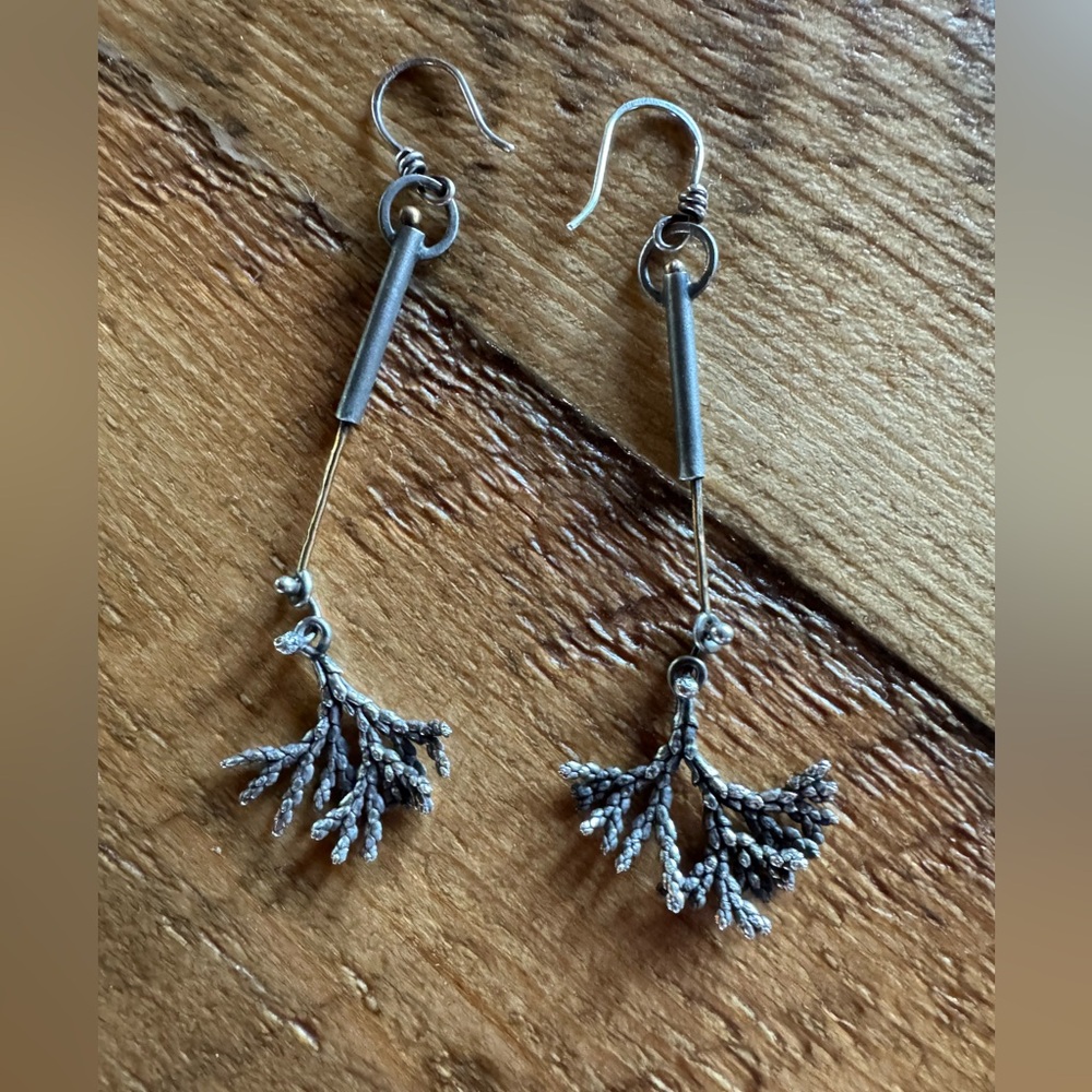 Cedar Cast Earrings - image 1